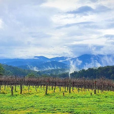 Kinam Vinea - A Vineyard Farmhouse In The Yarra Valley Villa Gladysdale Exterior photo