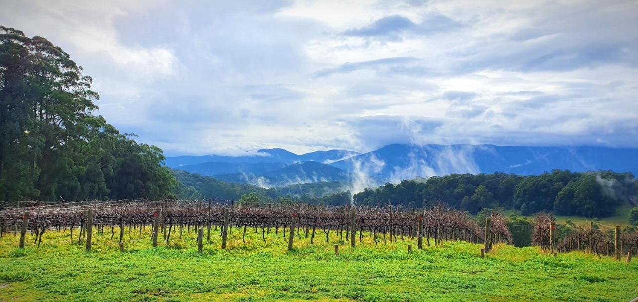 Kinam Vinea - A Vineyard Farmhouse In The Yarra Valley Villa Gladysdale Exterior photo