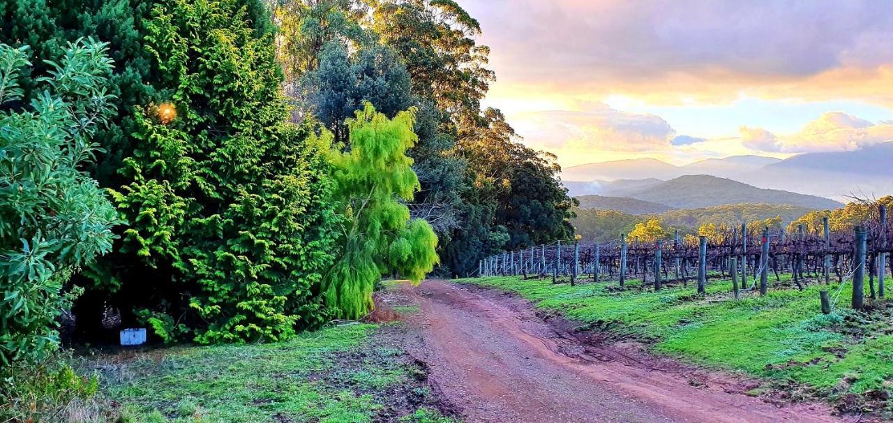 Kinam Vinea - A Vineyard Farmhouse In The Yarra Valley Villa Gladysdale Exterior photo