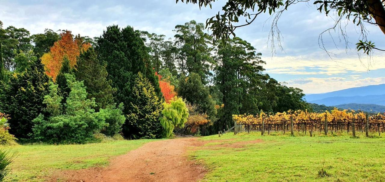 Kinam Vinea - A Vineyard Farmhouse In The Yarra Valley Villa Gladysdale Exterior photo