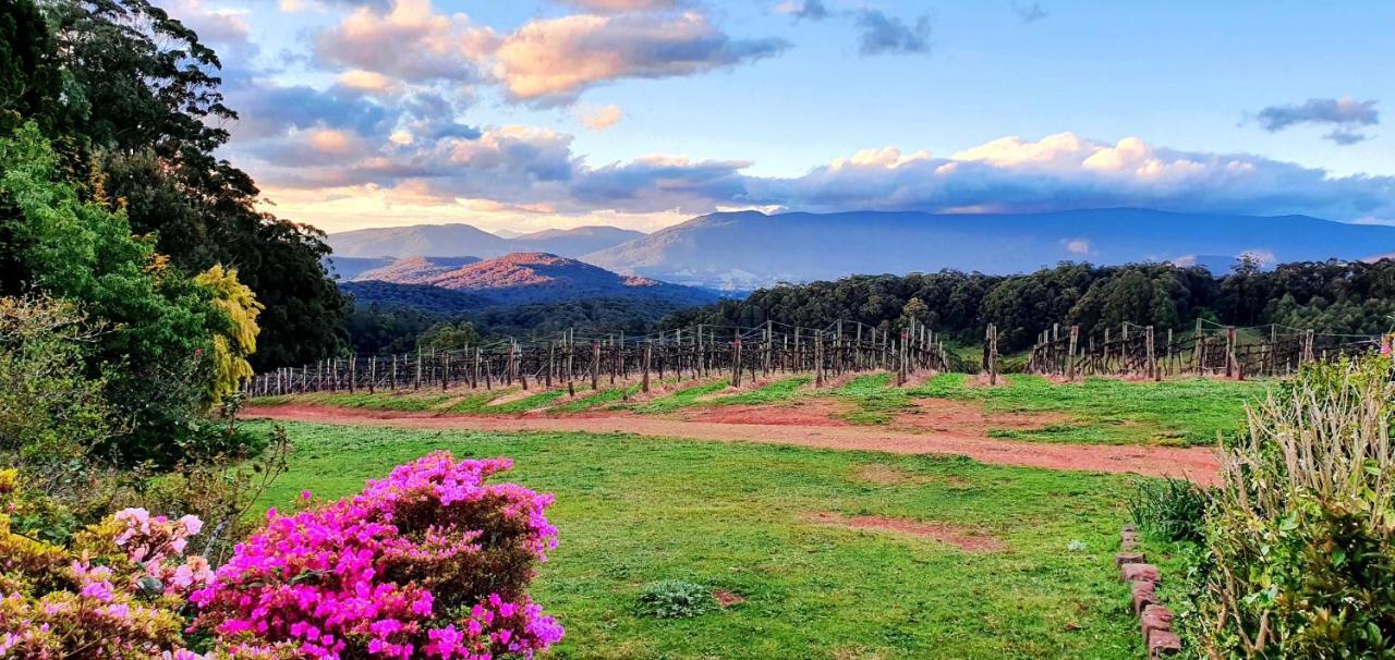 Kinam Vinea - A Vineyard Farmhouse In The Yarra Valley Villa Gladysdale Exterior photo