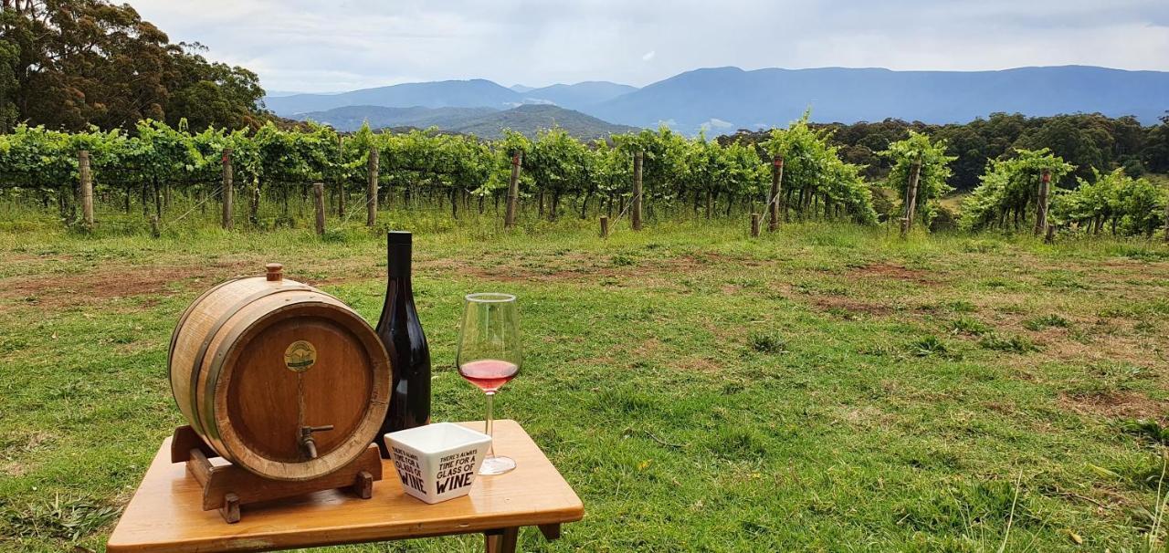 Kinam Vinea - A Vineyard Farmhouse In The Yarra Valley Villa Gladysdale Exterior photo