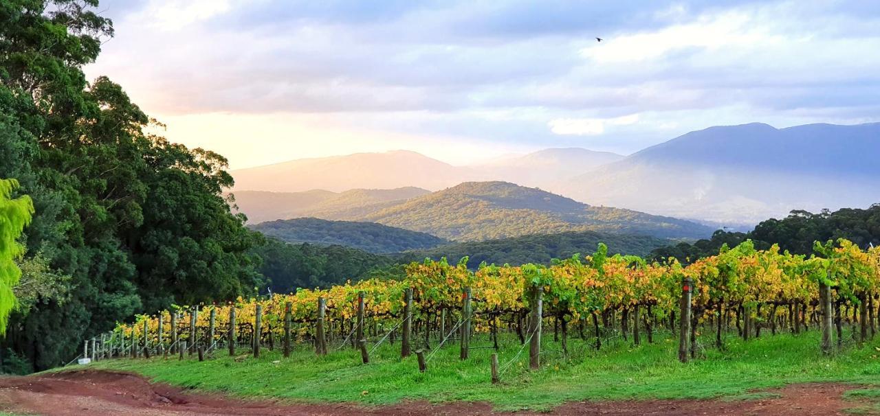 Kinam Vinea - A Vineyard Farmhouse In The Yarra Valley Villa Gladysdale Exterior photo